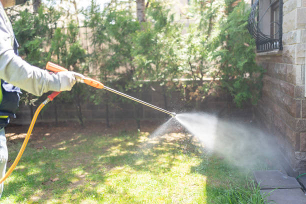 Indoor Pest Control in Myrtle Creek, OR